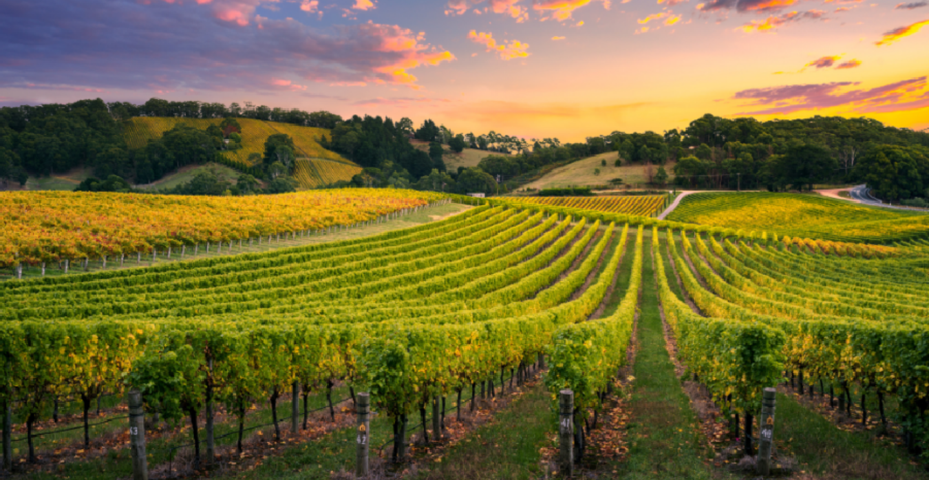 Mis on väärisvein?